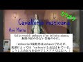 P.Mascagni 《Cavalleria rusticana》より“Ave Maria” カラオケ