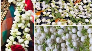 6 నెలలు Continue చిన్న కుండీలలో మల్లెలు/ Simple Tips పాటించండి/Jasmine..