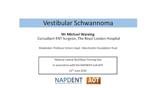 Lateral Skull Base | Vestibular Schwannoma | Mr Mike Wareing