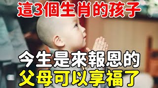 風水大師蘇民峰：這3個生肖的孩子，今生是來報恩的！自己前途光明，還能讓父母享福！【悟道小師父】#佛教 #因果 #命理 #風水