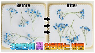 [3분압화] 전자레인지용 압화건조매트 pressed drying mat for microwave oven