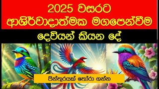 2025 දෙවියන් කියන දේ ආශිර්වාදාත්මක මගපෙන්වීම - The Amazing Angels Cards Guide You