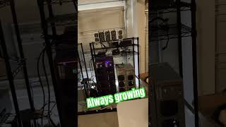 December update Mining garage setup #octominer #minerdude #x12 #cryptomining￼