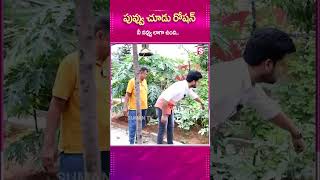 పువ్వు చూడు రోషన్ నీ నవ్వు లాగా ఉంది |#telugu #smile #roshan #latest #trending #sumantv