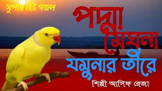 সুপারহিট গজল। পদ্মা মেঘনা যমুনার তীরে। #ভাইরাল_ভিডিও #bangladesh #viral #আসিফের_সেরা_গান #gojol