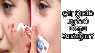 ஒரே இரவில் பருக்கள் மறைய வேண்டுமா | Beauty tips in tamil