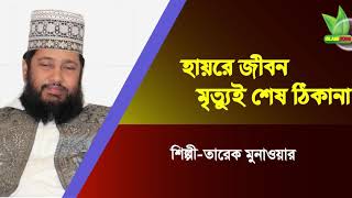 হায়রে জীবন মৃত্যুই শেষ ঠিকানা। তারেক মুনাওয়ার