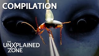 Strange Human-Alien Hybrids CAUGHT on Earth *Compilation* | Ancient Aliens | The UnXplained Zone