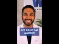 How to Get Rid of Cat Allergies Naturally