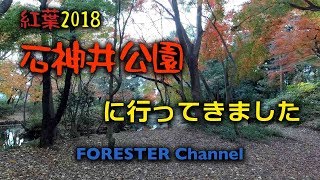 石神井公園の紅葉2018