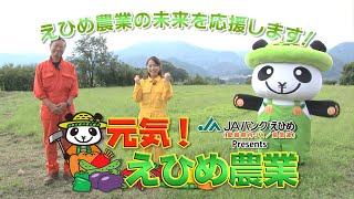 元気！えひめ農業　2020年8月30日放送