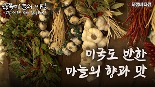 미국도 반한 마늘의 향과 맛 | 육쪽마늘의 비밀 2부-1