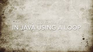 CS1: How to read a file using Java