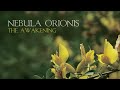 nebula orionis the awakening