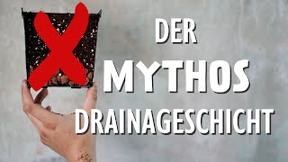 Drainageschicht bei Pflanzen: Schädlich oder hilfreich?