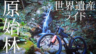 マウンテンバイクで奈良のトレイルを巡る2泊3日の自転車旅　【3日目原始林ライド編】サーリー　クランパス