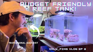 Budget Friendly Reef Tank! Only_fins Vlog Ep 3