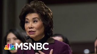 Chao Corruption Shocking Even For Scandal-Plagued Donald Trump Cabinet | Rachel Maddow | MSNBC