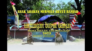 UNJUNGAN BUYUT BANJAR DS.BULAK KEC,JATIBARANG/KARNAVAL/ARAK ARAKAN/15/10/2023