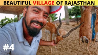 1 Sath 363 Logo Ki Gai Thi Jaan | Village life in rajasthan | Khejarli Village | Bishnoi Village