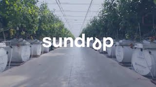 Sundrop Farms - An Overview