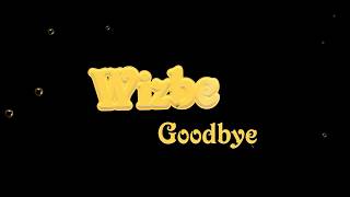 Music Video Wizbe Goodbye Cows Growing Ambient Flypower