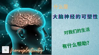 了解我们大脑的神经可塑性，它能帮助我们在成功的道路上达到所期待的目标。 What is Neuroplasticity? How it helps us to achieve our goals?