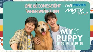 【小犬來了】🐶超完美狗保姆｜主演：車太鉉、柳演錫｜tvN Movies專區 溫馨上架