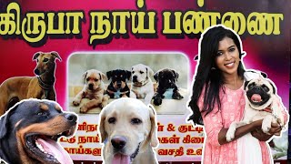 கிருபா நாய் பண்ணை மதுரை KIRUBA DOG kennel MADURAI