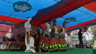 Sakhiye Ho |Tharu Cover Video Song | माघी महोत्सब २०७१ रुपन्देही - मुर्गिया | NRYC Presents