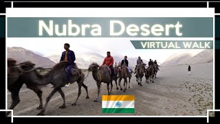 【4K HDR Virtual Walk】Nubra Valley Desert India Ladakh#nubravalley #nubra #ヌブラ