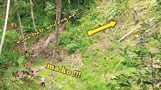 Super mantul🌟 Berburu hama babi hutan di Solok Kampuang dalam||Kab Padang Pariaman Sumatera barat.