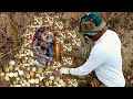 oldest gold treasure in the world#goldinfomastion #goldtreasure #treasure