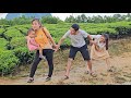 Chuong and his pregnant lover move to a new place - Thu and her daughter harvest cucumbers to sell