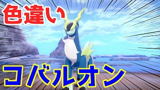 【ポケモン剣盾】証ケルディオを捕まえたい！！～コバルオン編～【ゆっくり実況】