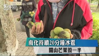 南化持續20分鐘冰雹　關山芒果毀一半