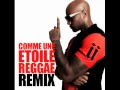 booba comme une etoile reggae remix