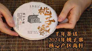 2024千年茶话-蛮砖·桃子寨核心产区高杆普洱生茶