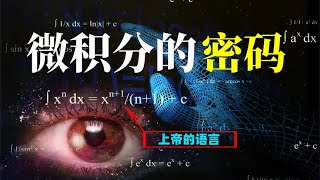 人类发明的微积分，为什么说是上帝的语言？它能解决什么问题？【小红虾实验室】