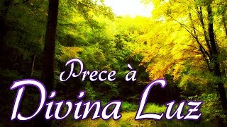 Prece à Divina Luz - TV Mundo Maior