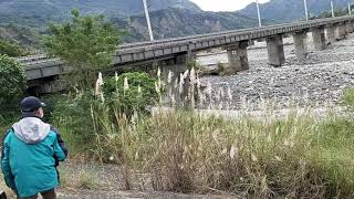 台東中興崗哨9:29分拍攝鹿野溪橋和301次台南發車經由南迴線開往花蓮的PP自強號鳴笛通過，今年第二度的有夢最美一路相隨仲夏寶島號蒸氣火車鐵道之旅展開