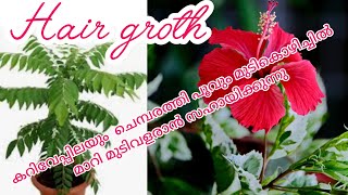 ❤️❤️മുടി  നല്ലത്  പോലെ വളരാൻ  #കറിവേപ്പിലയും ചെമ്പരത്തി  പൂവും  ഇങ്ങിനെ ചെയ്ത് നോക്കൂ 🥰🥰🥰👍