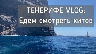 ТЕНЕРИФЕ VLOG: едем смотреть китов!