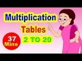 Multiplication Tables For Children 2 to 20 | Learn Numbers For Children | Numbers 2 to 20