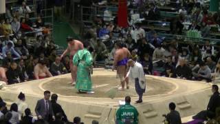 照強-北磻磨/2017.3.20(33)/terutsuyoshi-kitaharima/day9 #sumo