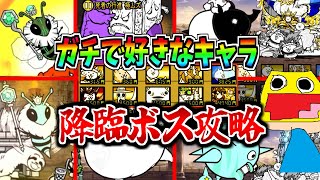 にゃんこ大戦争でガチで好きなキャラだけの同一編成で降臨祭の高難易度ボス全部倒すチャレンジがヤバい!!-にゃんこ大戦争【降臨祭】