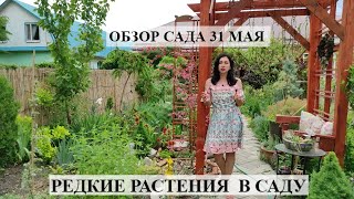 Багданисвета Новые Серии 2022 Года Багданисвета Новые Серии 2022 Года