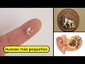 ¡Cosas Curiosas que no sabías! #20