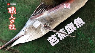 How To Cut Indo-Pacific Sailfish｜Fish Cutting Skills