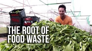 The Root Of Food Waste | It Figures | Channel NewsAsia Connect